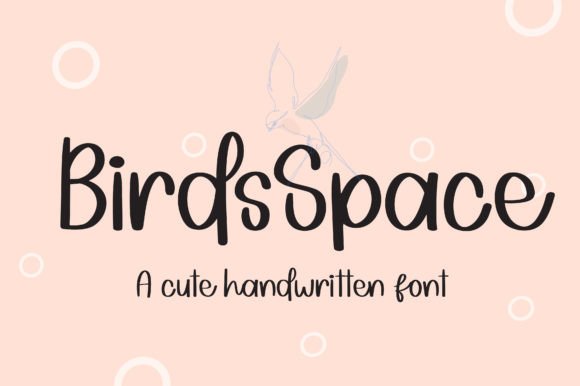 Birdsspace: A Designer's Review for Real Branding Projects