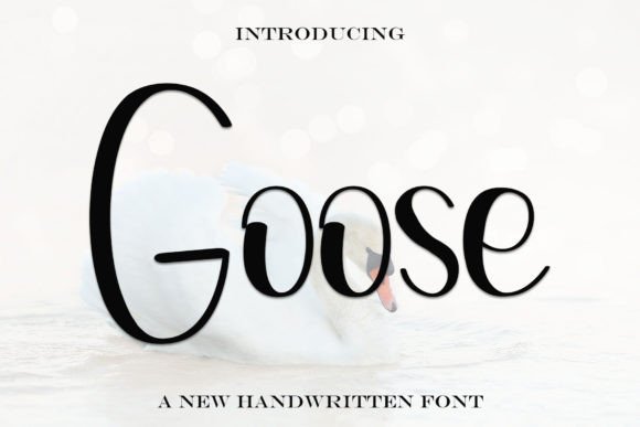 Goose: The Handwritten Font for Scroll-Stopping Marketing