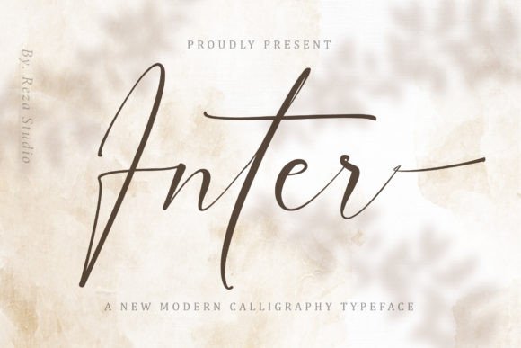 Inter Typeface: Elevating Web Design with Modern Script