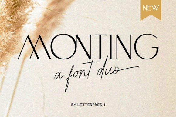 Monting Duo: A Luxury Typeface for Modern Brand Identity