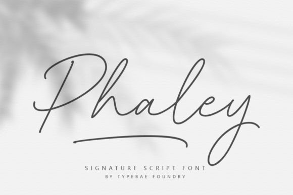 Phaley Font Review: Elevating Small Business Branding