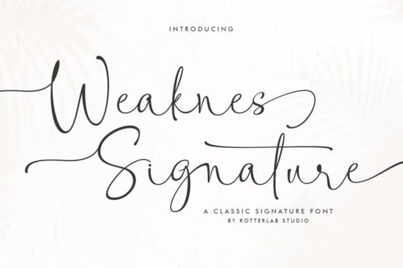 Weaknes Signature: A Sweet Script Font for Modern Web Design