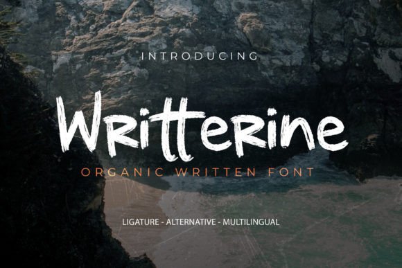 Writterine: A Designer's Honest Review for Branding